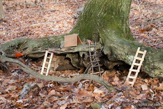 Small wooden ladders and a tent at the base of a tree.