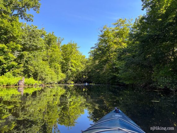 Kayak on a narrow river with green trees on either side.