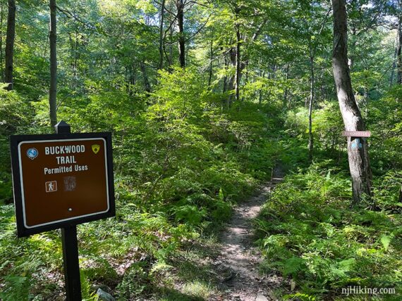 Buckwood and Turquoise Trail signs.