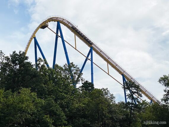 Riders on a roller coaster seen above treeline.