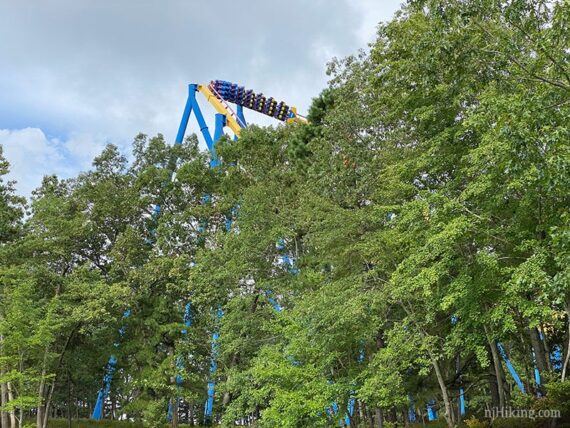 Top of the Nitro roller coaster see above the tops of green trees.