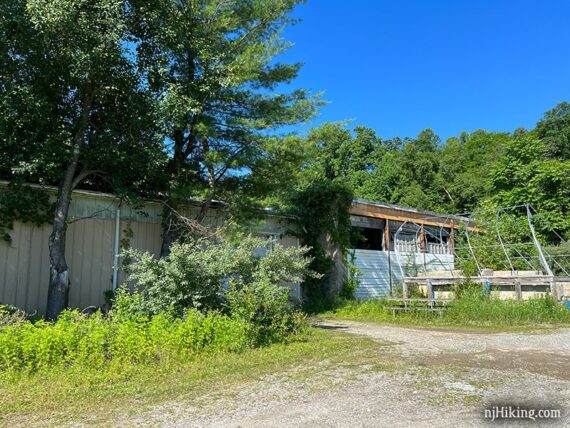 Old building becoming overgrown by trees