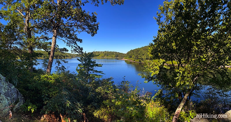 Blue pond seen through green trees.