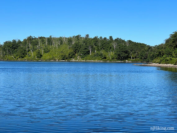 Bright blue pond with dark green trees around it.