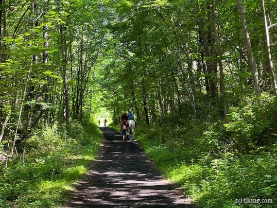 Horses and bikes on a wide gravel path with overhanging trees.