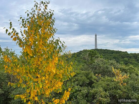 High Point monument on a green forested hill with a yellow and green tree in the foreground.
