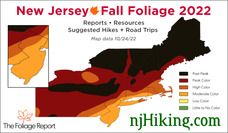 NJ Foliage Report map for 10/17/22