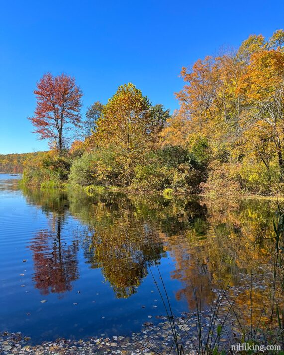 Orange and rust colored foliage reflecting in blue water.