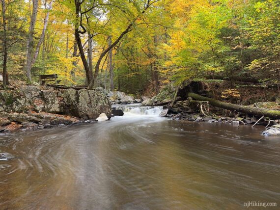 Yellow and green leaves hanging over a river.