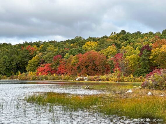 Bright red, yellow, and rust covered leaves on trees around a lake.