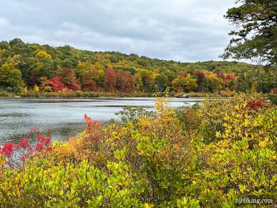 Bright fall foliage around a lake.