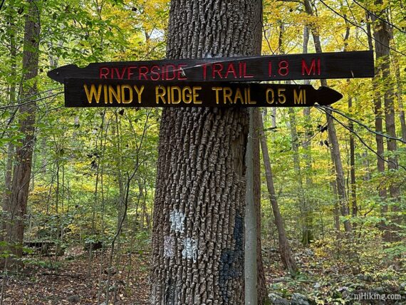 Wooden arrow trail signs.