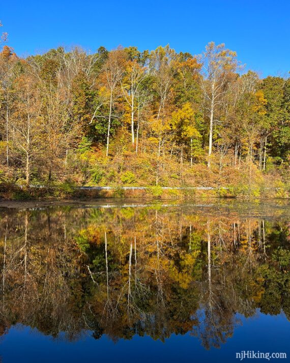 Bright yellow, orange, and green foliage reflected in a blue lake with bright blue sky.