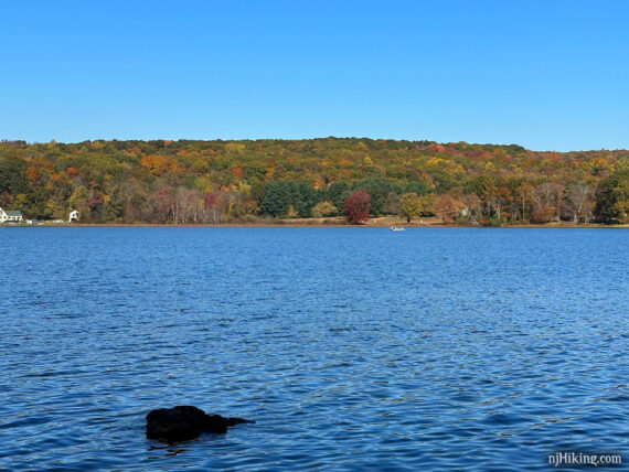 Swartswood lake foliage.