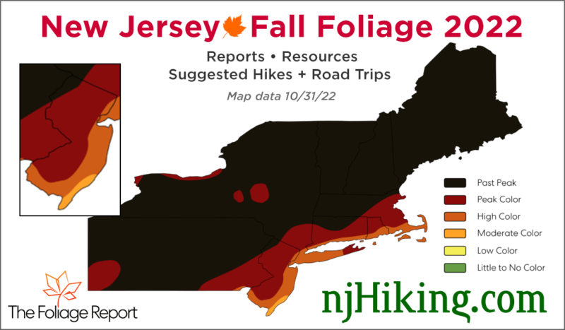 NJ Foliage Report map for 10/31/22.
