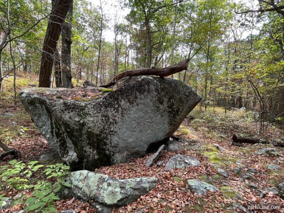 Unusual large boulder with a pointy end.