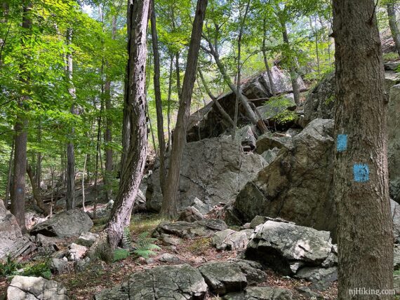 Two blue blazes on a tree in front of large boulders.