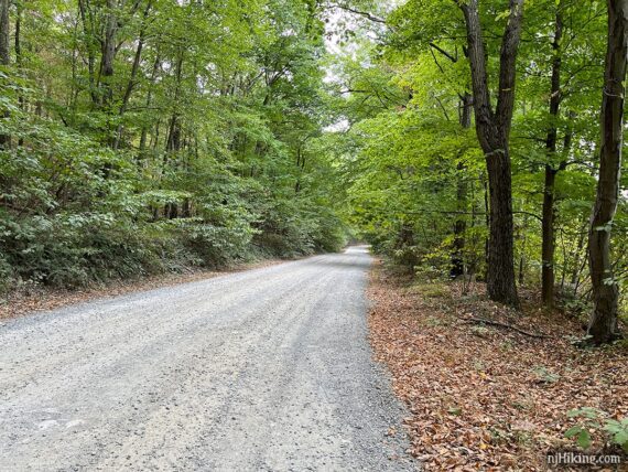 Wide and flat crushed gravel road.