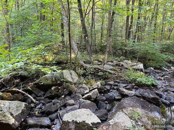 Rocky dry stream bed.