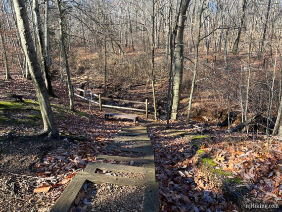 Wooden trail steps leading down to a bench and fence by a stream.