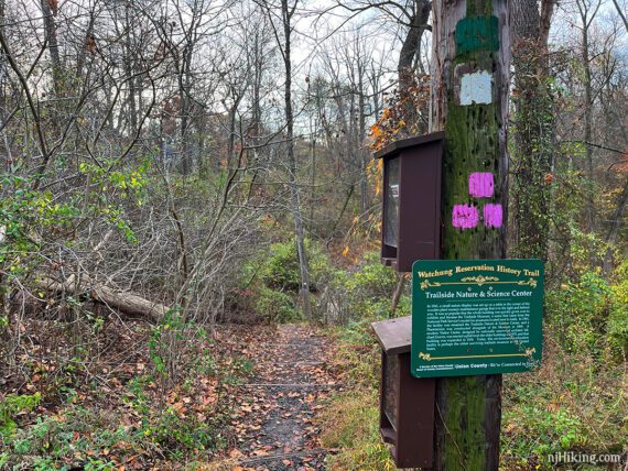 Trail markers and map boxes on a post.