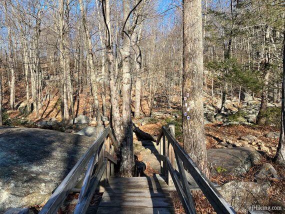 Three trail markers on a tree by a bridge and large rock.