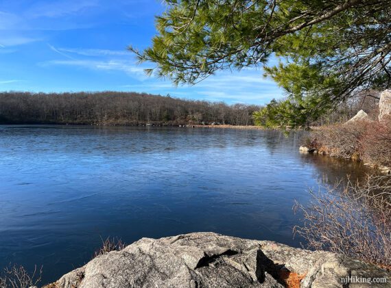 Evergreen branch overhanging a rock at the edge of a lake.