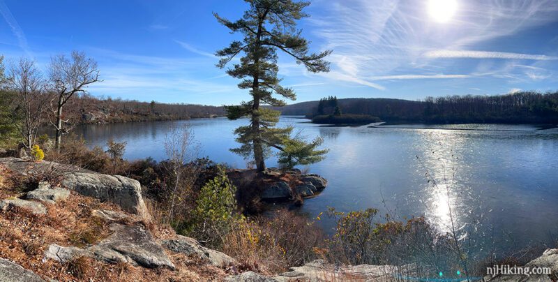 Tall pine tree on a rocky outcrop jutting into a lake.