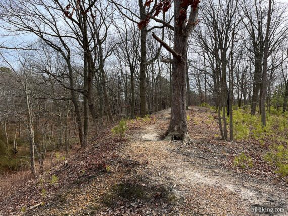 Trail with a steep drop off on the left.