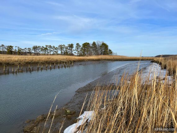 Wood pilings in a creek surrounded by marsh grass.