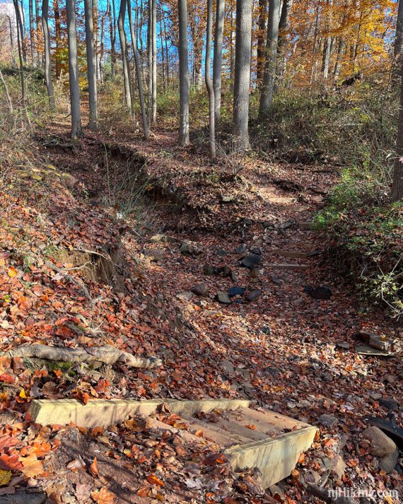 Wooden step ladder leading down into a rocky gully with steps on the other side.