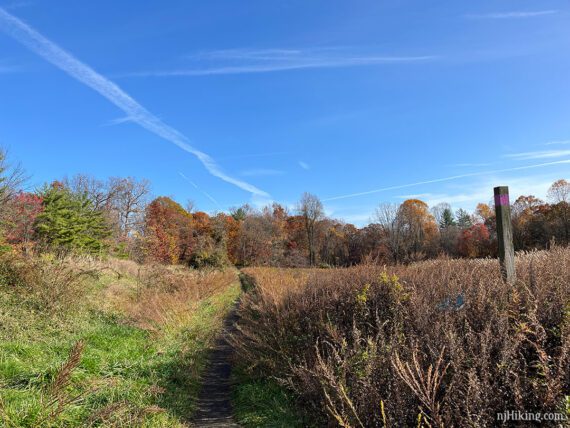 Narrow path through a field with a pink trail marker on a post.