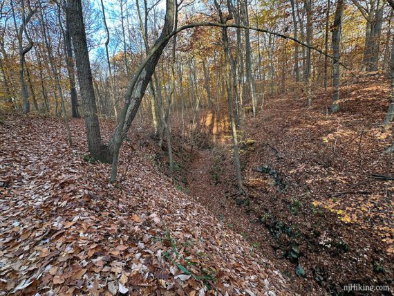 Trail above a narrow rocky and leaf covered gorge.