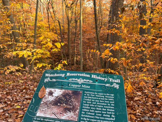 Signage for the history of a copper mine in front of a fall foliage filled gorge.