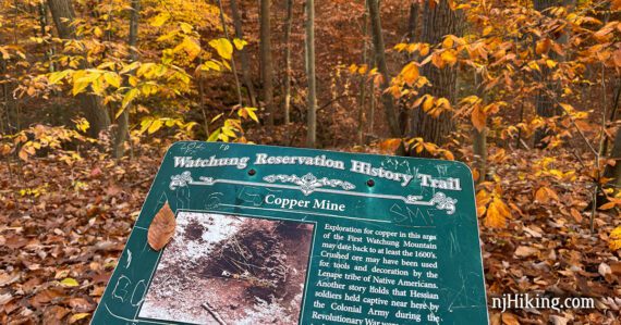Interpretive park sign in front of a gorge covered in yellow and orange foliage.