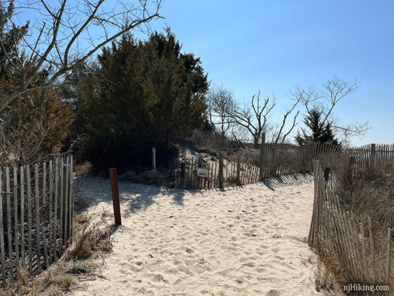 Wide sandy trail with wooden fencing.

