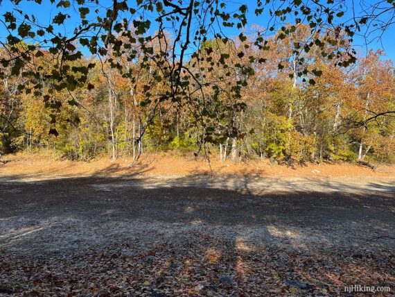 Wide dry depression where Duck Pond would be.