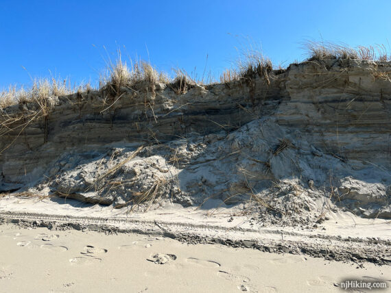 Tall eroded dunes along a beach.