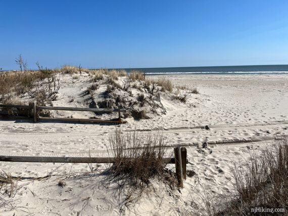 Wooden fence post along beach and dunes.