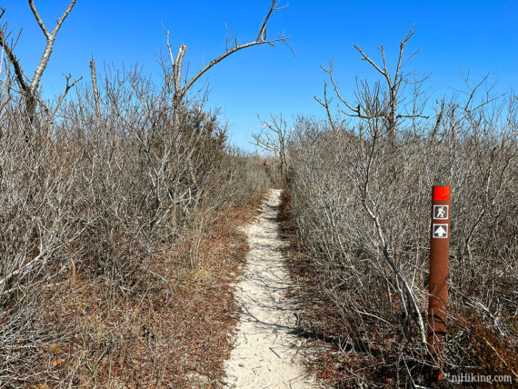 Red marker on a trail post along a beachy trail.