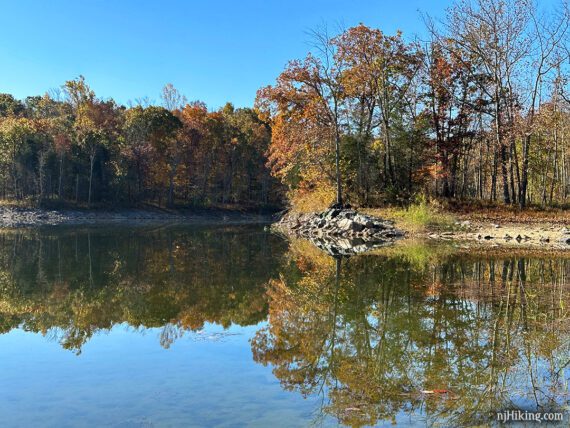 Trees reflecting in Spring Lake.