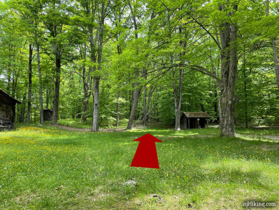 Arrow marking the location of a trail.