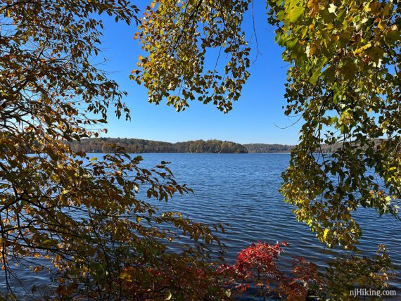 Trees surrounded a view of Swartswood Lake.