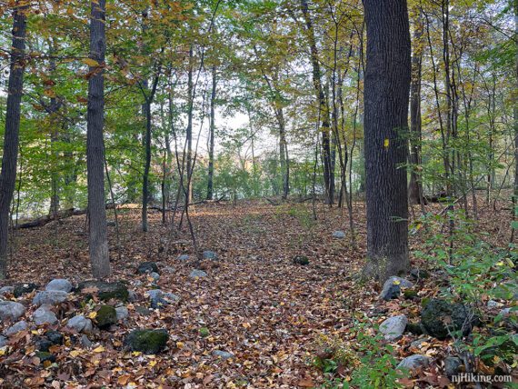 Level trail with rocks piled on both sides.