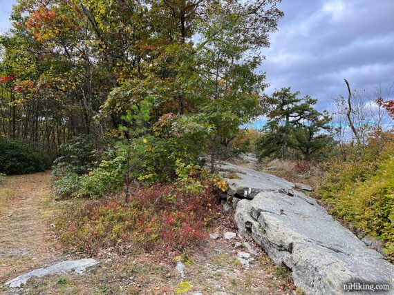 White blazes of the Appalachian Trail on a long rock slab.