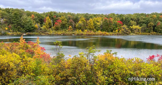 Fall foliage on trees reflected in calm Crater Lake.