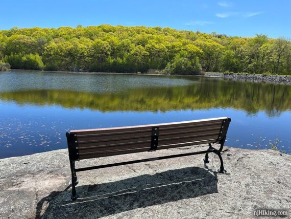 Bench overlooking water with green trees reflected in it.