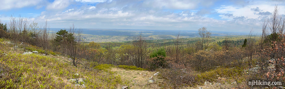 Panoramic view from Blue Mountain.