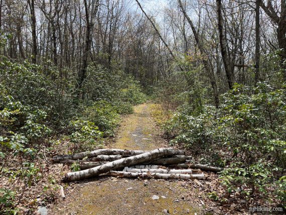 Logs stacked over a trail.