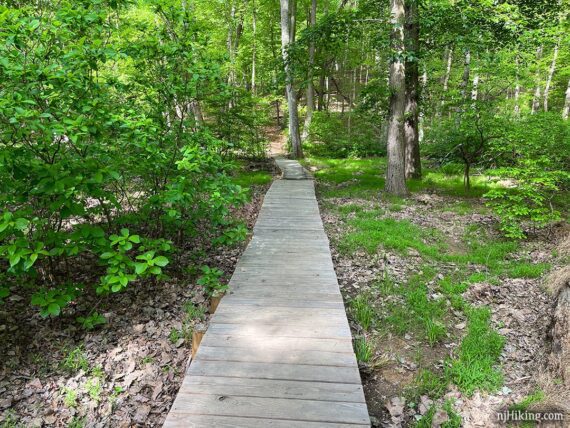 Wooden footbridge on a trail.